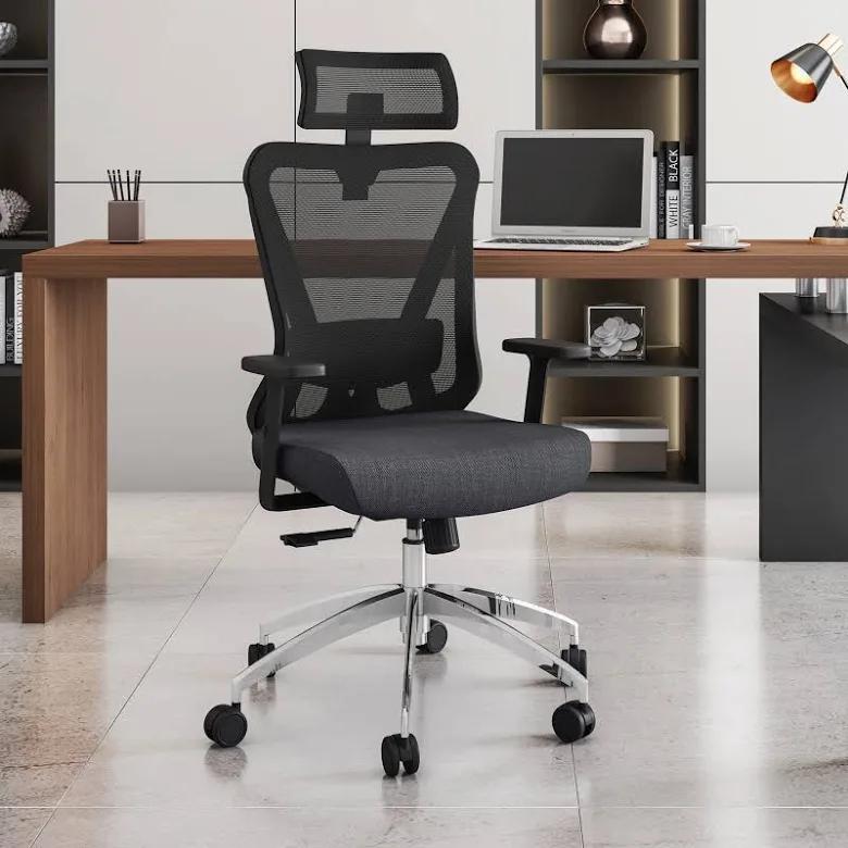 Ergonomic Office chair